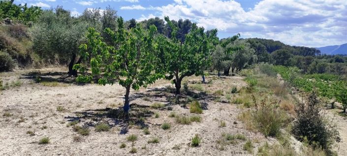 Image No.9-Propriété à vendre à Planes