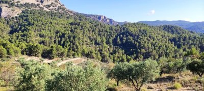 o1h6tm84fc90j1alc1efa1lv35dg30