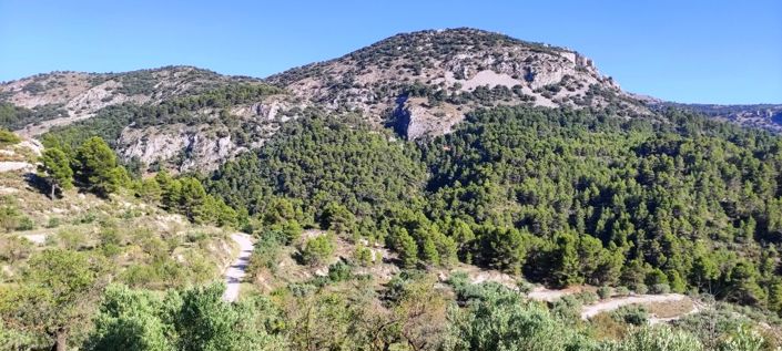 Image No.4-Maison de campagne à vendre à Benasau