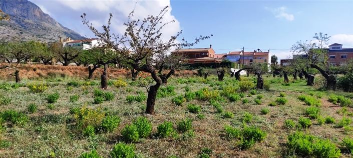 Image No.4-Propriété à vendre à Gaianes