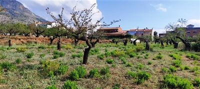 o1hctvoro61pal1mff1lhqu5ggdn1g