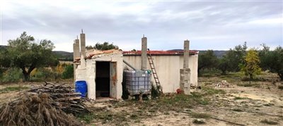 o1he57btc7sdg1263lou5l1ptb1s