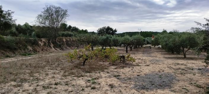 Image No.4-Maison de campagne à vendre à Ontinyent