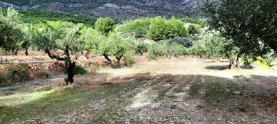 o1he521g8g1k6j17neg3d117bn6529