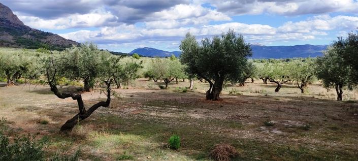 Image No.9-Maison de campagne à vendre à Muro de Alcoy