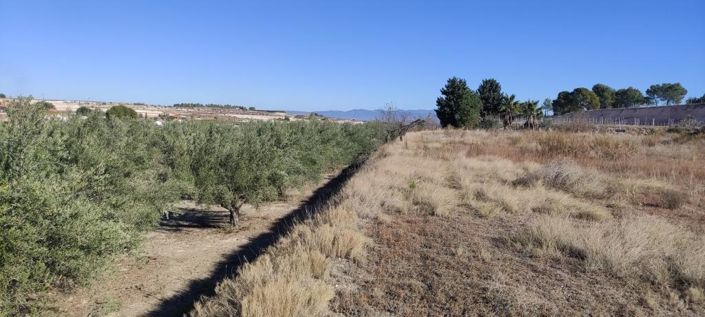 Image No.6-Maison de campagne à vendre à Agullent