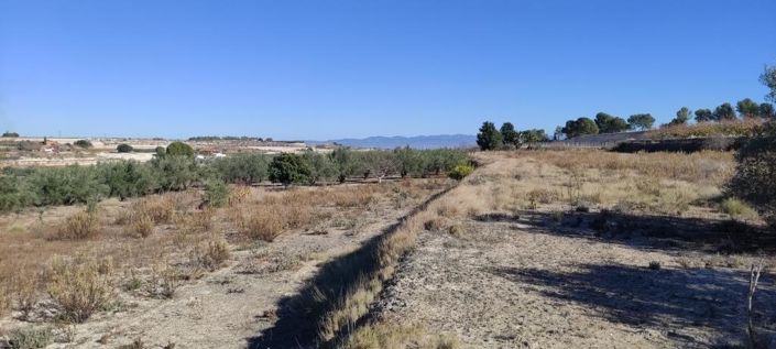 Image No.7-Maison de campagne à vendre à Agullent