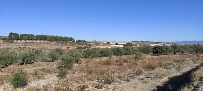 Image No.8-Maison de campagne à vendre à Agullent