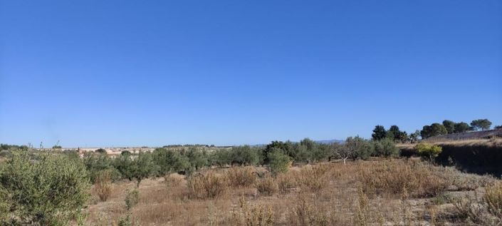 Image No.9-Maison de campagne à vendre à Agullent
