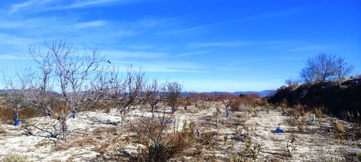 Image No.10-Propriété à vendre à Bufali