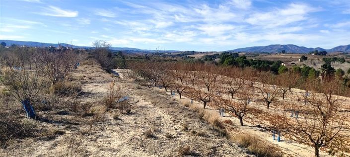 Image No.3-Propriété à vendre à Bufali