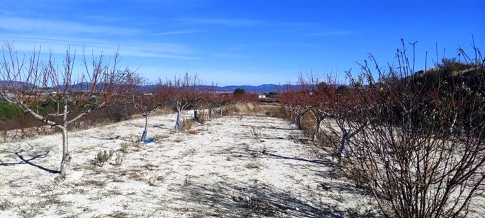 Image No.4-Propriété à vendre à Bufali