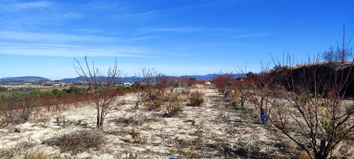 Image No.5-Propriété à vendre à Bufali