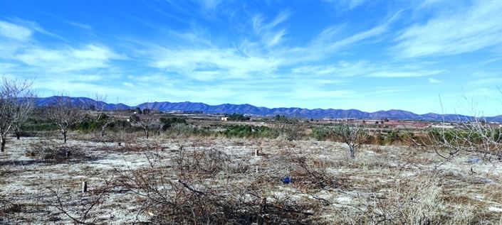 Image No.9-Propriété à vendre à Bufali