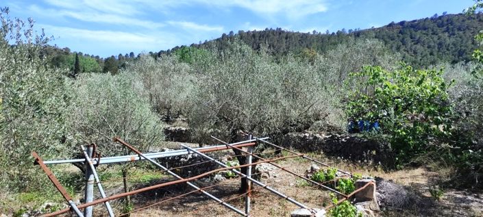 Image No.9-Maison de campagne de 1 chambre à vendre à Villalonga