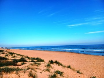 o1im0ivv7v1kci1g9r2gdp59e582d