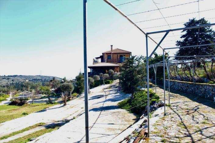 Image No.23-Villa de 5 chambres à vendre à Apokoronas