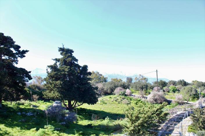 Image No.26-Villa de 5 chambres à vendre à Apokoronas