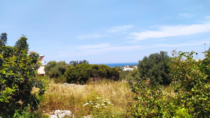 Image No.2-Terrain à vendre à Crète