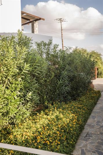 Image No.20-Villa de 4 chambres à vendre à Crète