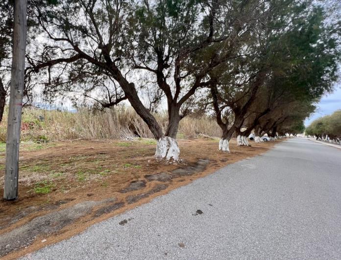 Image No.8-Terre à vendre à Tavronitis