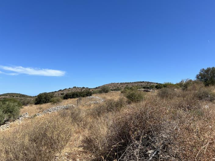 Image No.4-Terrain à vendre à Apokoronas