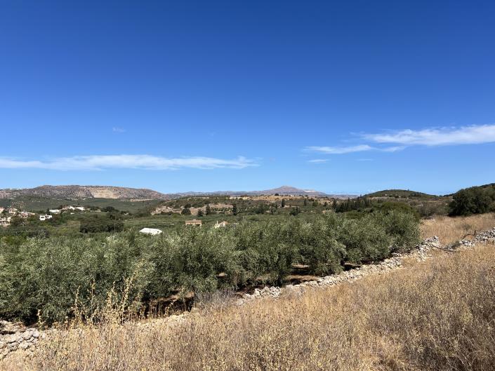 Image No.7-Terrain à vendre à Apokoronas