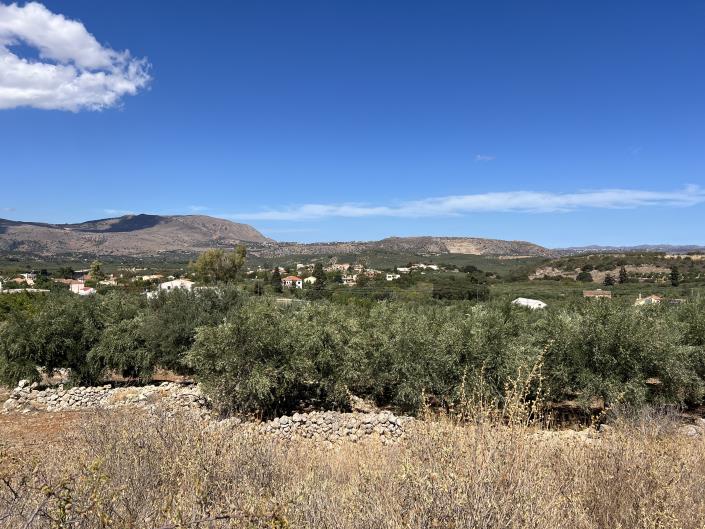 Image No.8-Terrain à vendre à Apokoronas