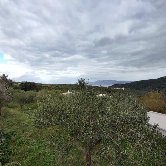 Image No.3-Plot for sale