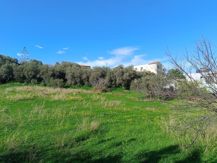 Image No.3-Plot for sale