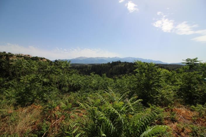 Image No.12-Plot for sale