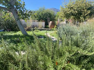 GREECE-HOUSE-FOR-SALE-IN-MELIDONI-image00013