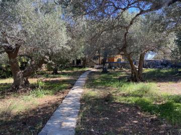 GREECE-HOUSE-FOR-SALE-IN-MELIDONI-image00016