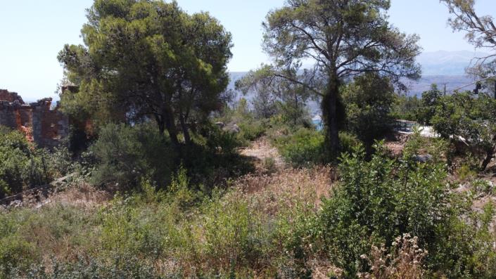 Image No.2-Terre à vendre à Crète