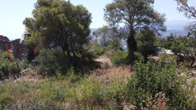 tzafalia-in-person-DJI_0364