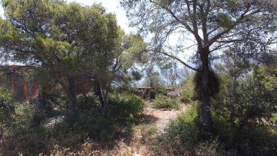 tzafalia-in-person-DJI_0377