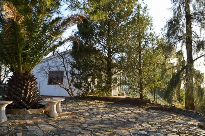 Image No.6-Propriété de pays de 3 chambres à vendre à Sedella