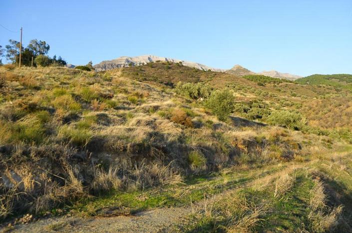 Image No.27-Propriété de pays de 3 chambres à vendre à Sedella