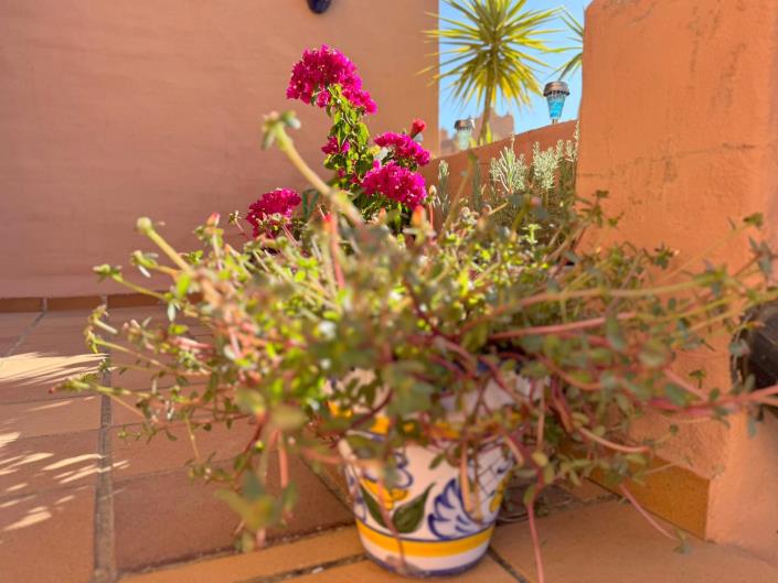 Image No.16-Appartement de 2 chambres à vendre à La Duquesa