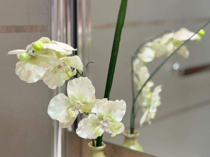 Image No.23-Appartement de 2 chambres à vendre à La Duquesa