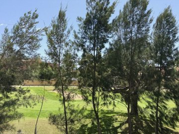 44-4ad41dfa77012016e76a644b0dffe3e1