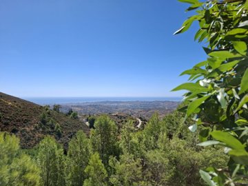 4-498bdfab4a7fcf25df40c2176acd63a0