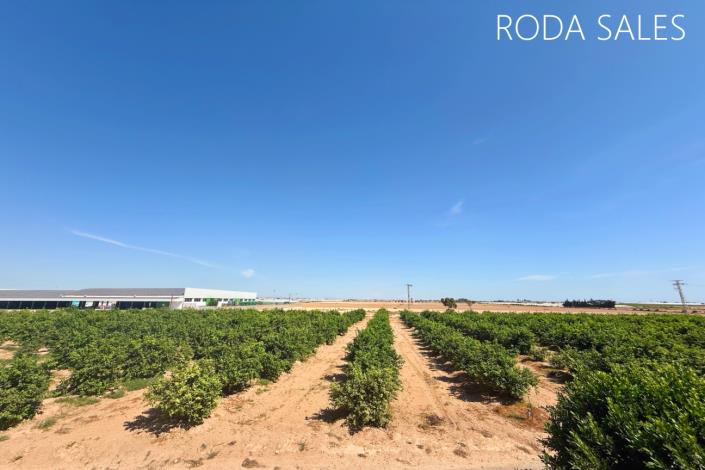 Image No.15-Jumelé de 3 chambres à vendre à Dolores De Pacheco