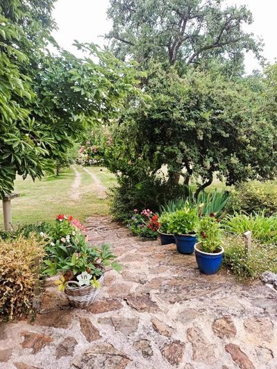 Image No.8-Maison de 6 chambres à vendre à Boussac