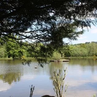 Image No.4-4 Bed Bungalow for sale