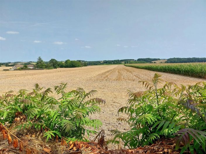 Image No.18-Maison de 5 chambres à vendre à Châtellerault