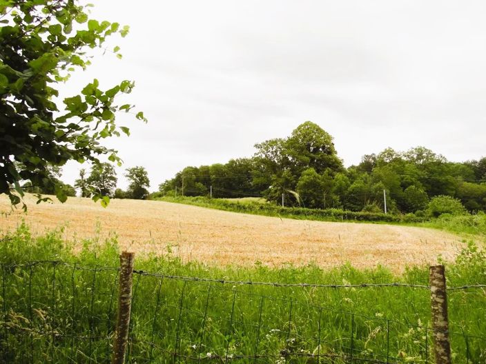 Image No.24-Maison de 3 chambres à vendre à Auzances