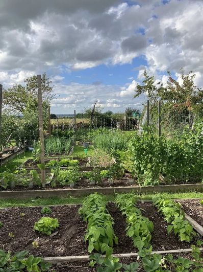 Image No.14-Maison de 6 chambres à vendre à Beaune-d'Allier