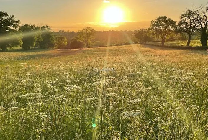 Image No.22-Maison de 6 chambres à vendre à Beaune-d'Allier