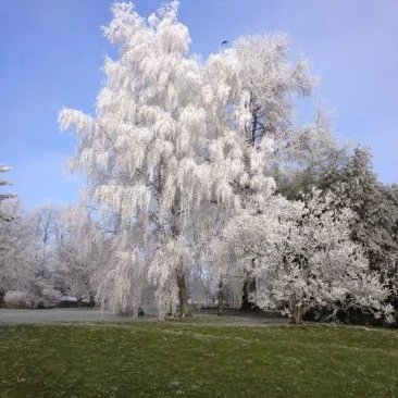 Image No.16-Maison à vendre à Saint-Révérien